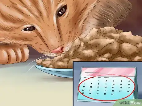 Image titled Know if Your Cat Needs Gluten‐Free Food Step 9