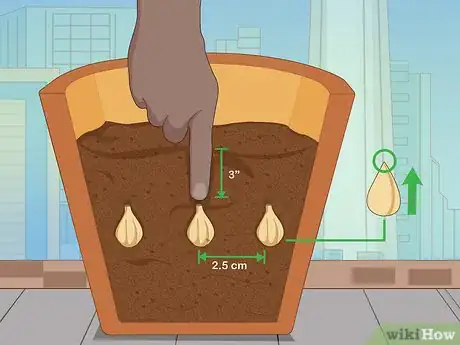 Image titled Plant Snowdrops Step 9