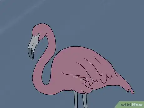 Image titled Run a Flamingo Fundraiser Step 9