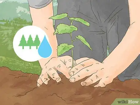 Image titled Volunteer over Spring Break Step 10