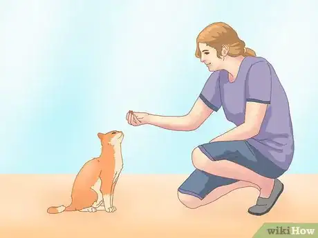 Image titled Get a Cat to Roll Over Step 2