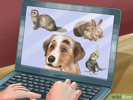 Image titled Choose a Pet from a Pet Store Step 5