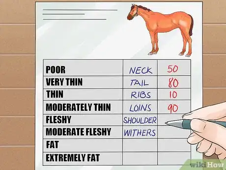 Image titled Do Condition Scoring for Horse Yearlings Step 7