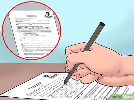 Image titled Bring a Dog to the Country of Panama Step 5