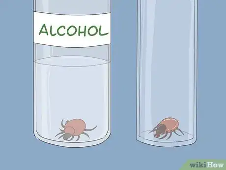 Image titled Prevent Lyme Disease Step 12