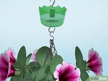 Image titled Get Rid of Ants in the Garden Step 7