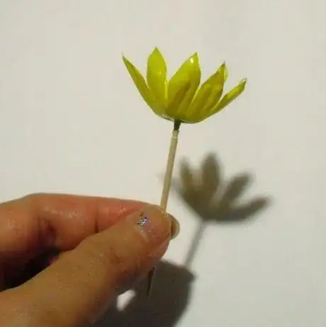 Image titled Tpf14_295.JPG