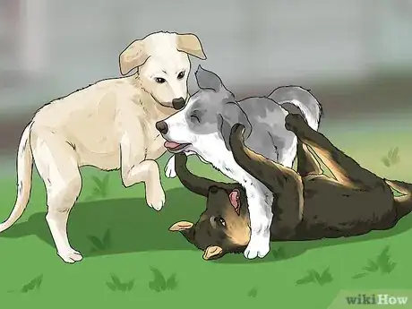 Image titled Whelp and Raise a Single Puppy Step 18