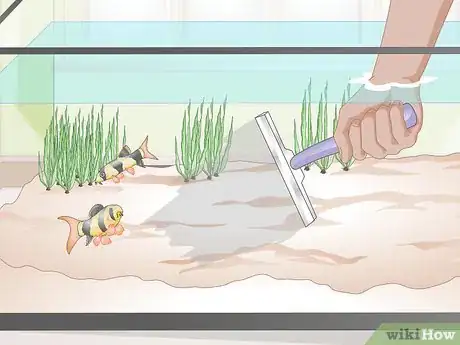 Image titled Do a Water Change in a Freshwater Aquarium Step 5