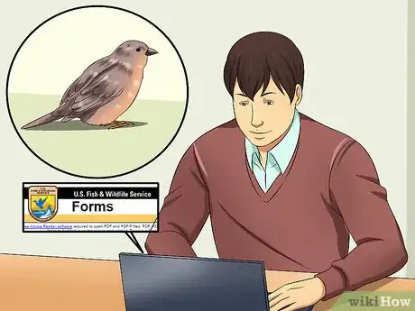 Image titled Care for an Injured Wild Bird That Cannot Fly Step 18