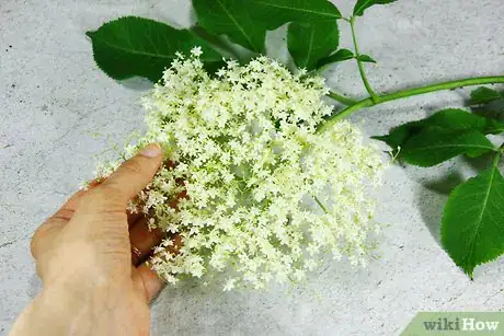 Image titled Make Elderflower Cordial Step 18
