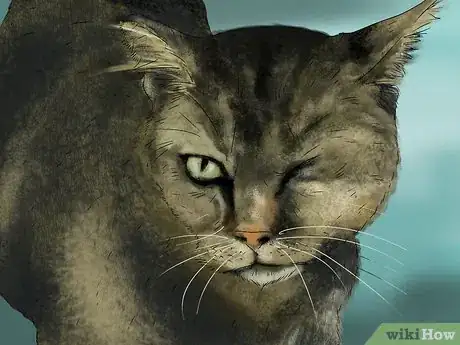 Image titled Diagnose and Treat Dry Eye in Cats Step 2