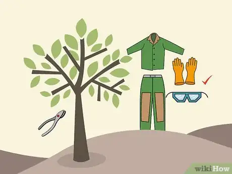 Image titled Prune Citrus Trees Step 11