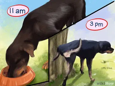 Image titled Adopt a Rottweiler Step 18