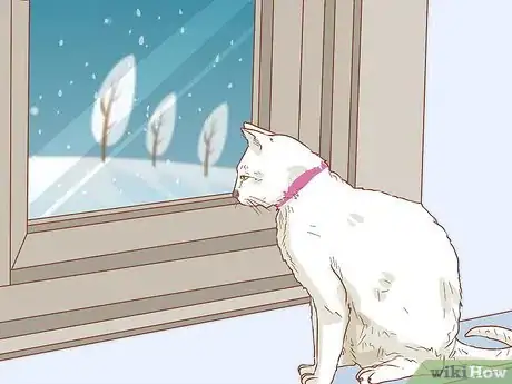Image titled Protect Cats During Winter Step 5