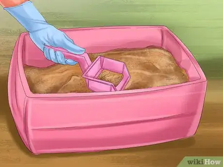 Image titled Prevent Infection from Toxoplasmosis Step 11