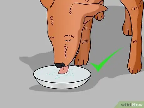 Image titled Keep Your Dog in Shape Step 10