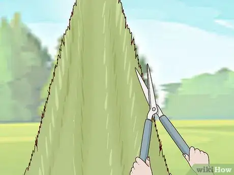 Image titled Prune Arborvitae Step 8