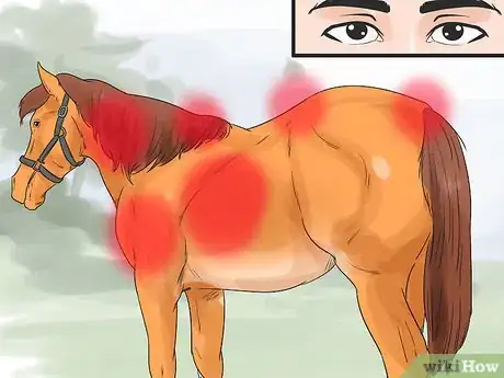 Image titled Do Condition Scoring for Horse Yearlings Step 3