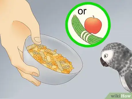 Image titled Feed a Conure Step 5