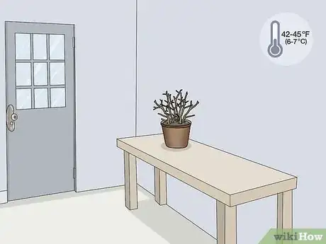 Image titled Overwinter Fuchsias Step 6