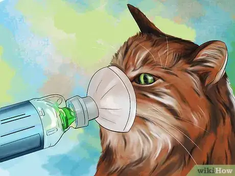 Image titled Treat a Cat with Acupuncture Step 4