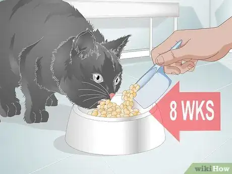 Image titled Put Your Cat on a Limited Ingredient Diet Step 7