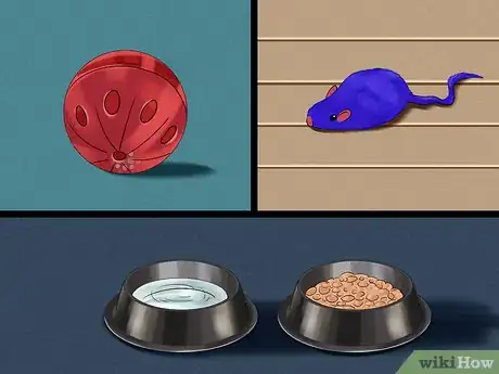 Image titled Budget for a New Cat Step 3