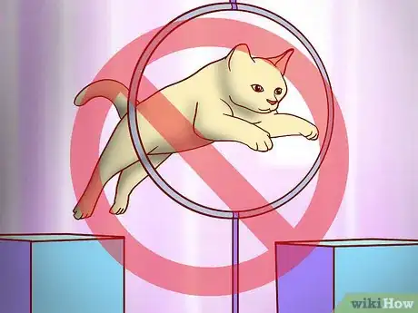 Image titled Choose Toys for a Senior Cat Step 5