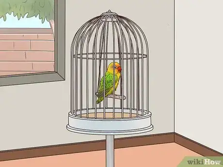 Image titled Treat Lovebirds with Psittacine Beak and Feather Disease Step 2