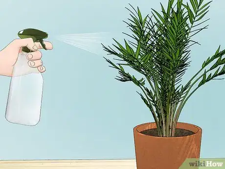 Image titled Plant an Areca Palm Step 15