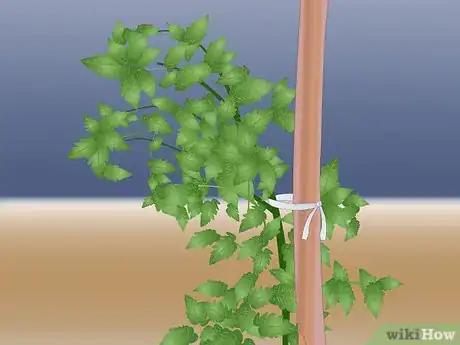 Image titled Stake a Plant Step 3