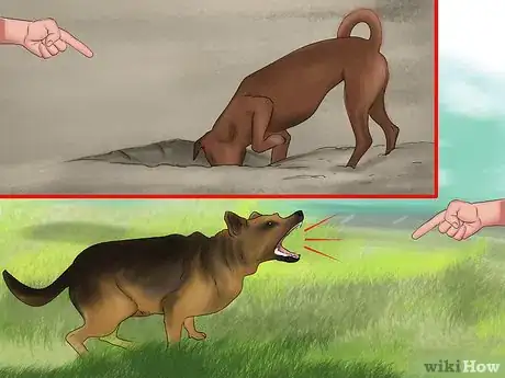 Image titled Keep Your Dog Safe from Wild Animals Step 2