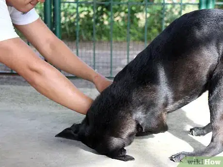 Image titled Tame Your Dog Step 7