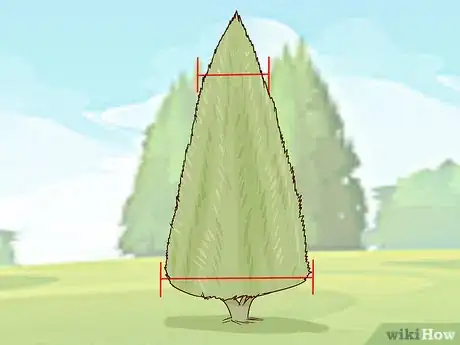 Image titled Prune Arborvitae Step 9