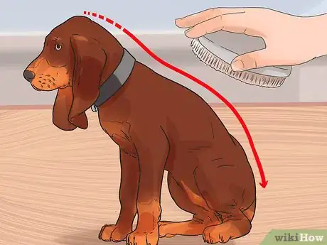 Image titled Groom a Thin Furred Dog Step 6