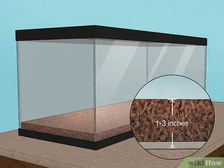 Image titled Care for a Chilean Rose Tarantula Step 5