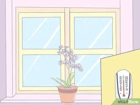 Image titled Care for Mini Orchids Step 19