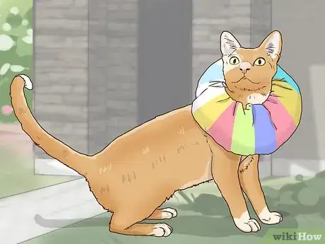 Image titled Protect Small Yard Animals from Cats Step 9