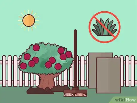 Image titled Save a Dying Rose Bush Step 16