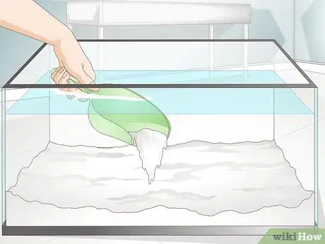 Image titled Take Care of Botia Fish Step 8