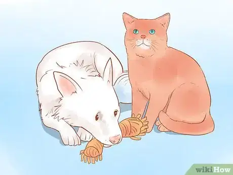 Image titled Keep a Pet When You Have Cats Step 9
