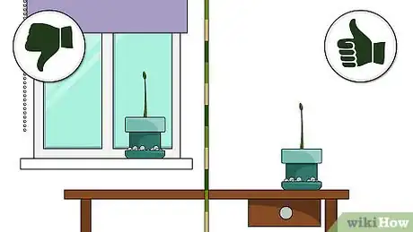 Image titled Grow a Ficus Benjamina Step 11
