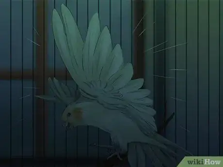 Image titled Deal with Cockatiel Night Frights Step 1