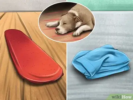 Image titled Care for Your Dog in the Winter Step 6