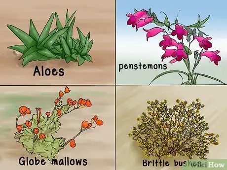 Image titled Design a Desert Garden Step 10