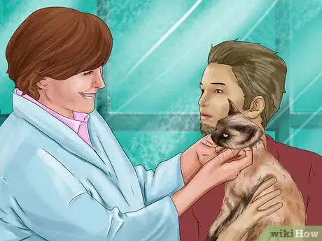 Image titled Diagnose and Treat Dry Eye in Cats Step 6