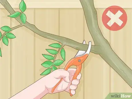 Image titled Prune Gate Vines Step 8