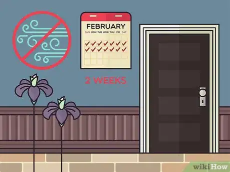 Image titled Store Iris Bulbs Step 6