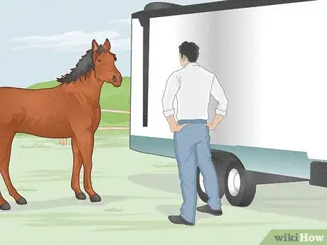 Image titled Look After a Horse Step 14